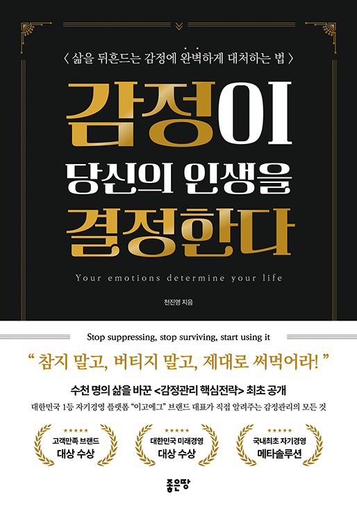 감정이 당신의 인생을 결정한다 | 천진영