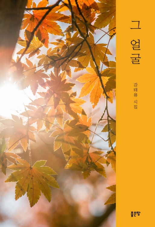 그 얼굴 | 강태용