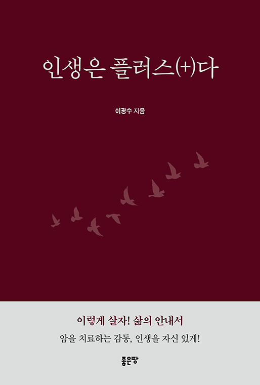 인생은 플러스(+)다 | 이광수