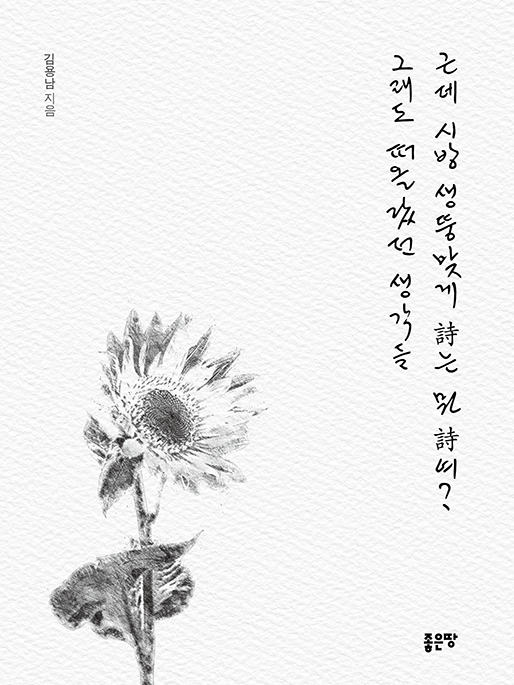 근데 시방 생뚱맞게 詩는 뭔 詩여? 그래도 떠올랐던 생각들 | 김용남