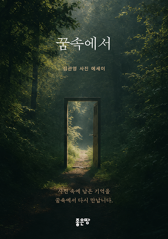 꿈속에서 | 김관영