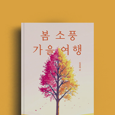 김권채 저자