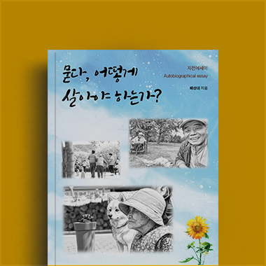 배상대 저자